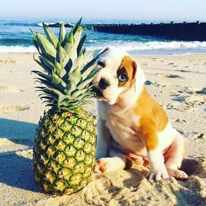 Meet your Posher, Becky